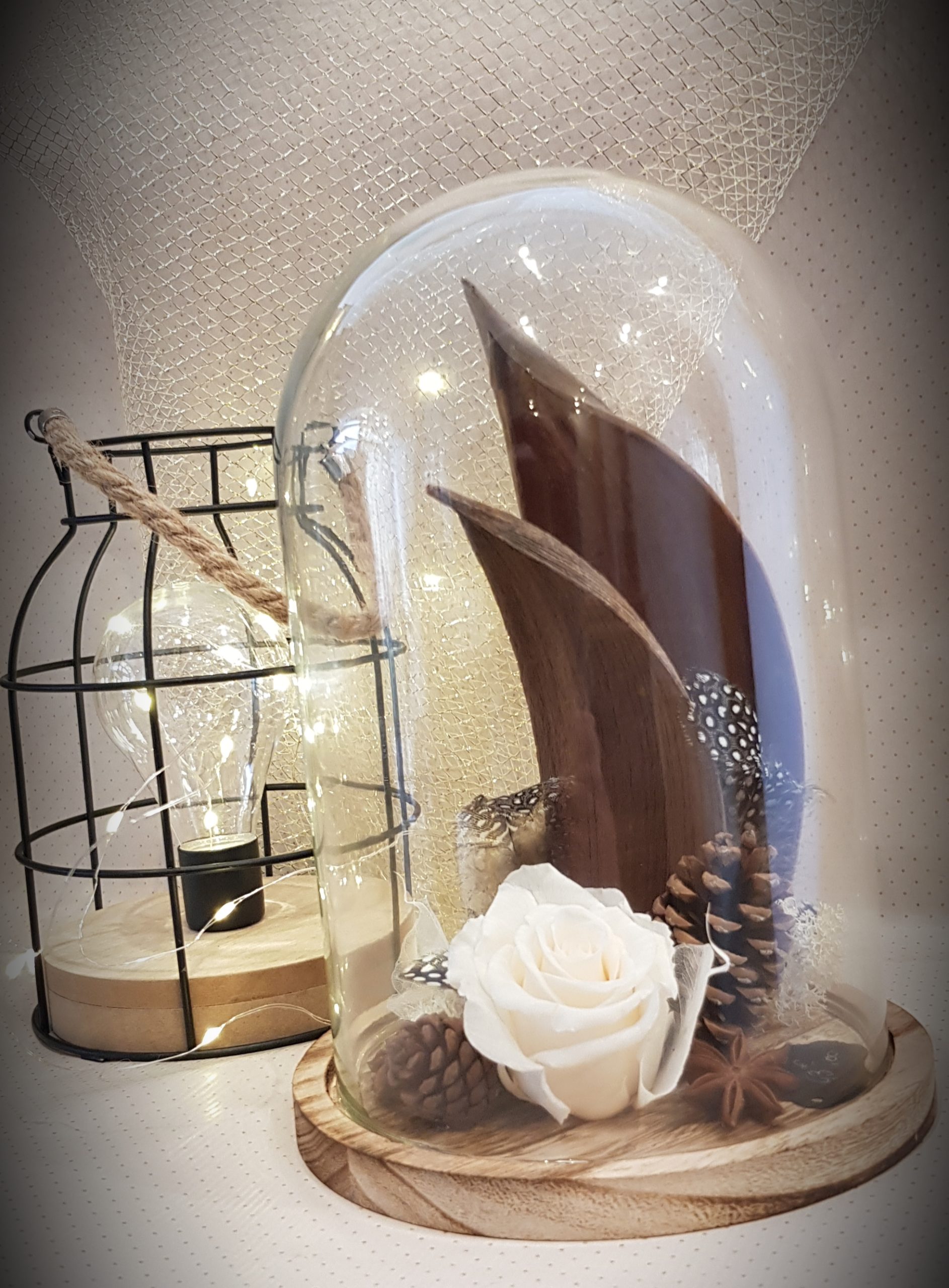 Rose stabilisée - Sous cloche (grand)