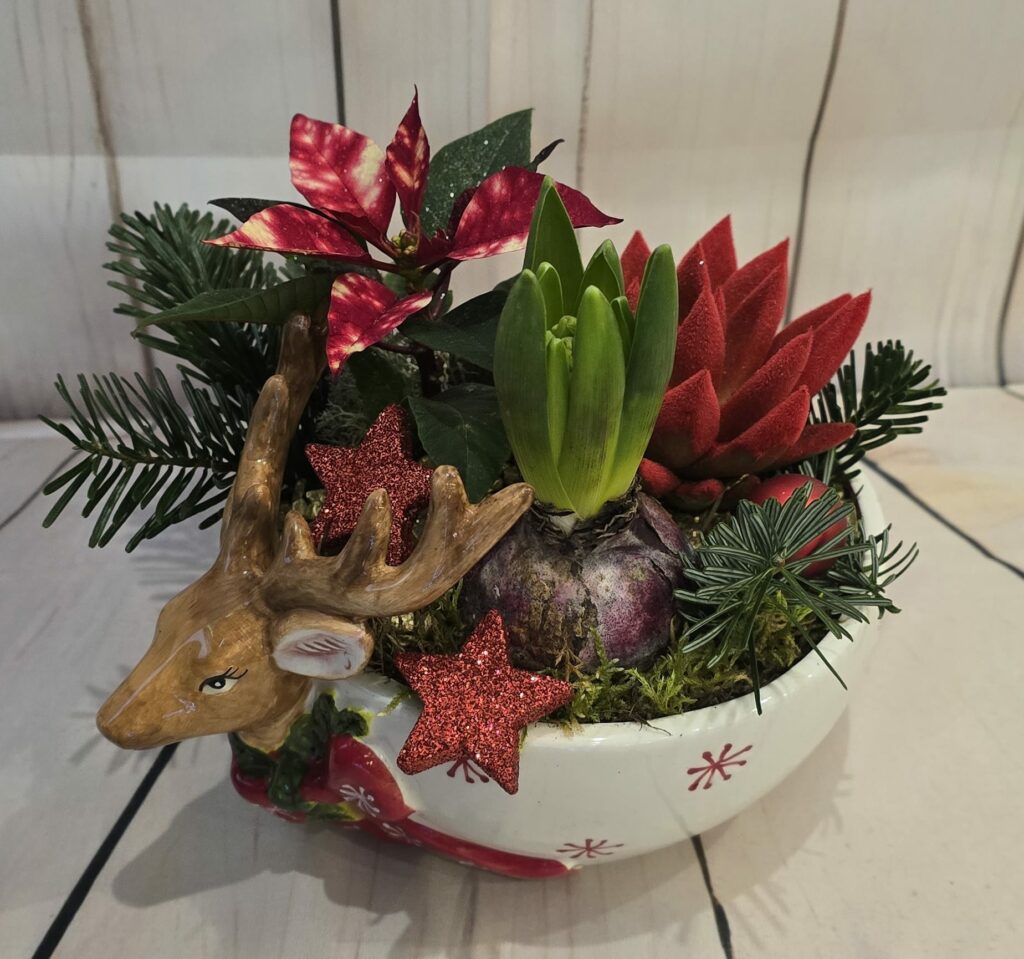 L'Atelier de Marjolaine